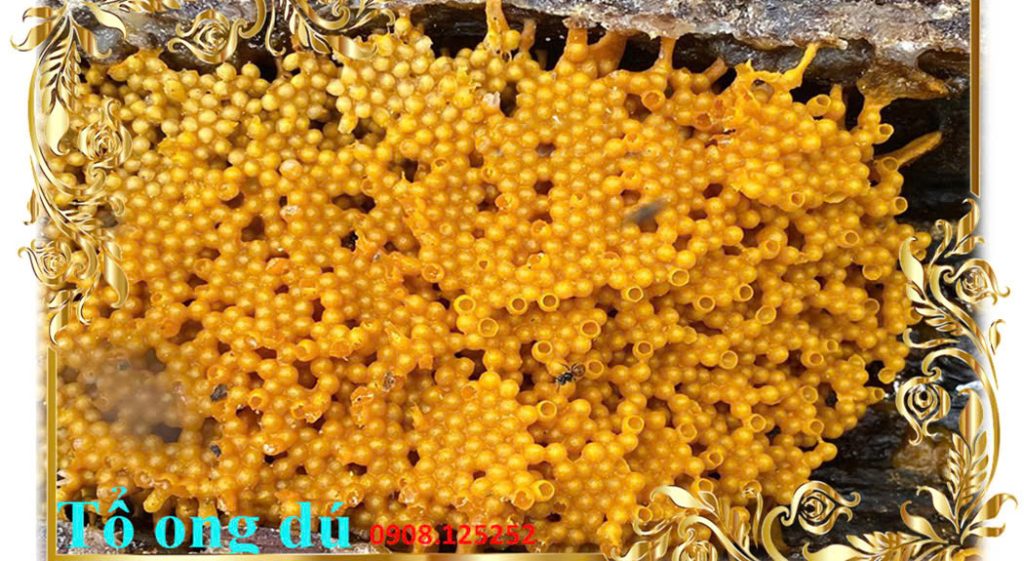 Nghề nuôi ong dú