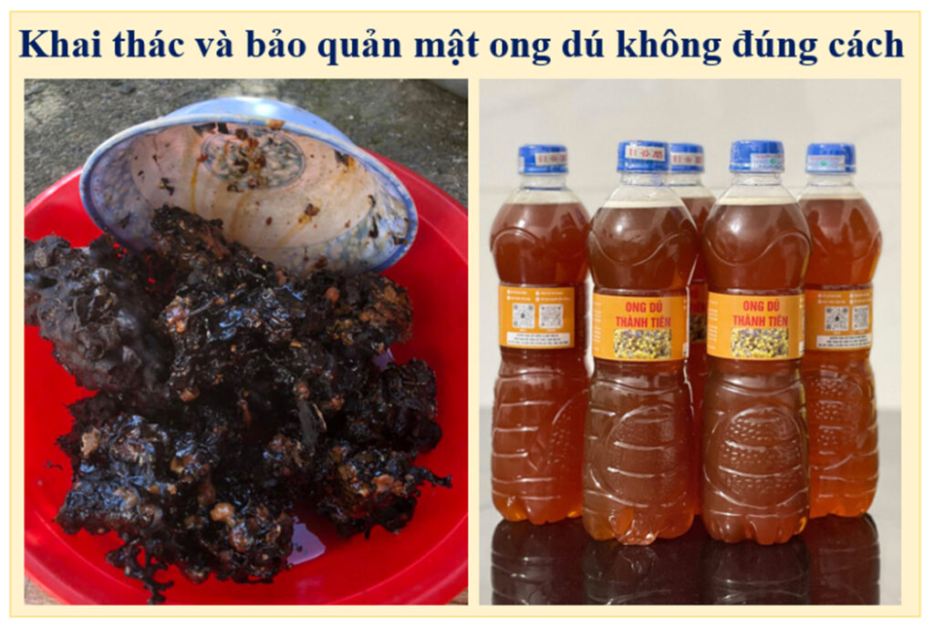 Nông sản sạch