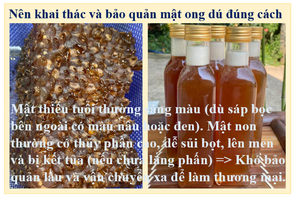 Nông sản sạch