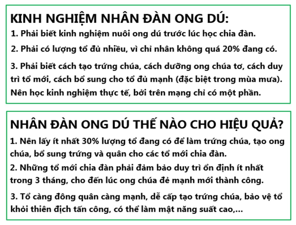 kỹ thuật nhân đàn ong dú