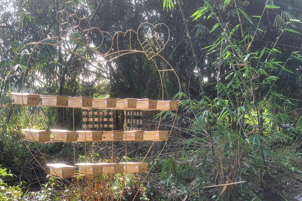 hướng dẫn nuôi ong rú