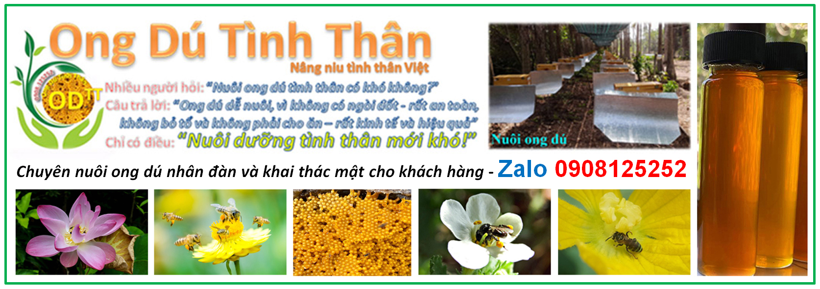 Ong dú Tình Thân