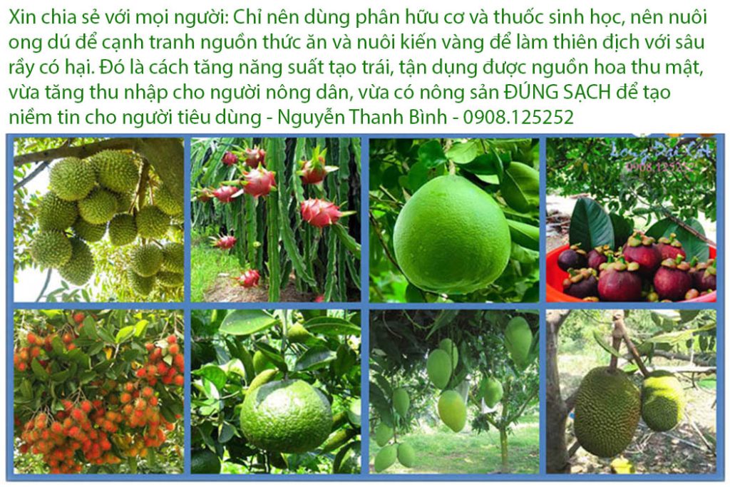 Hướng dẫn làm nông sản sạch
