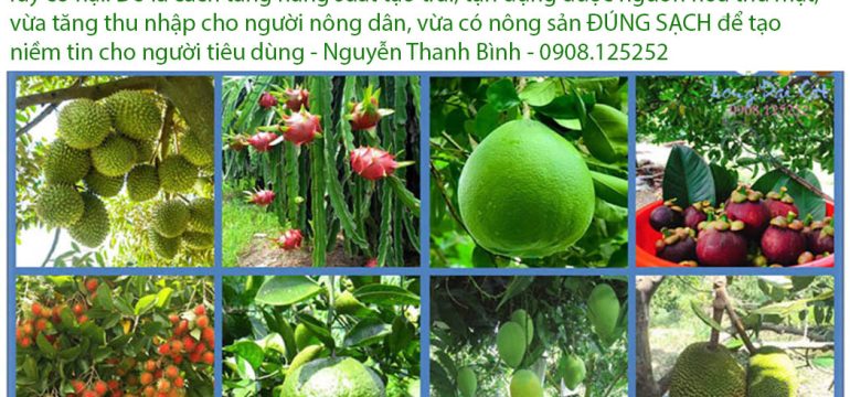 Nông sản sạch