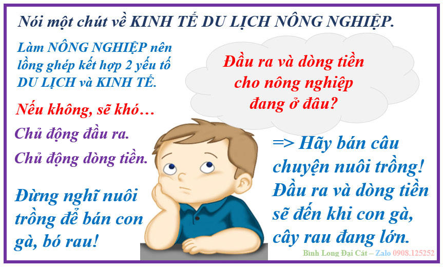 Cách nuôi ong dú