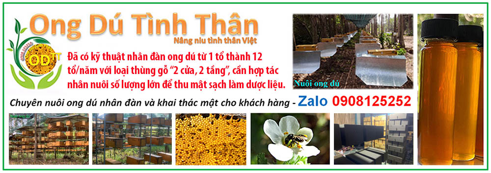 Ong dú Tình Thân