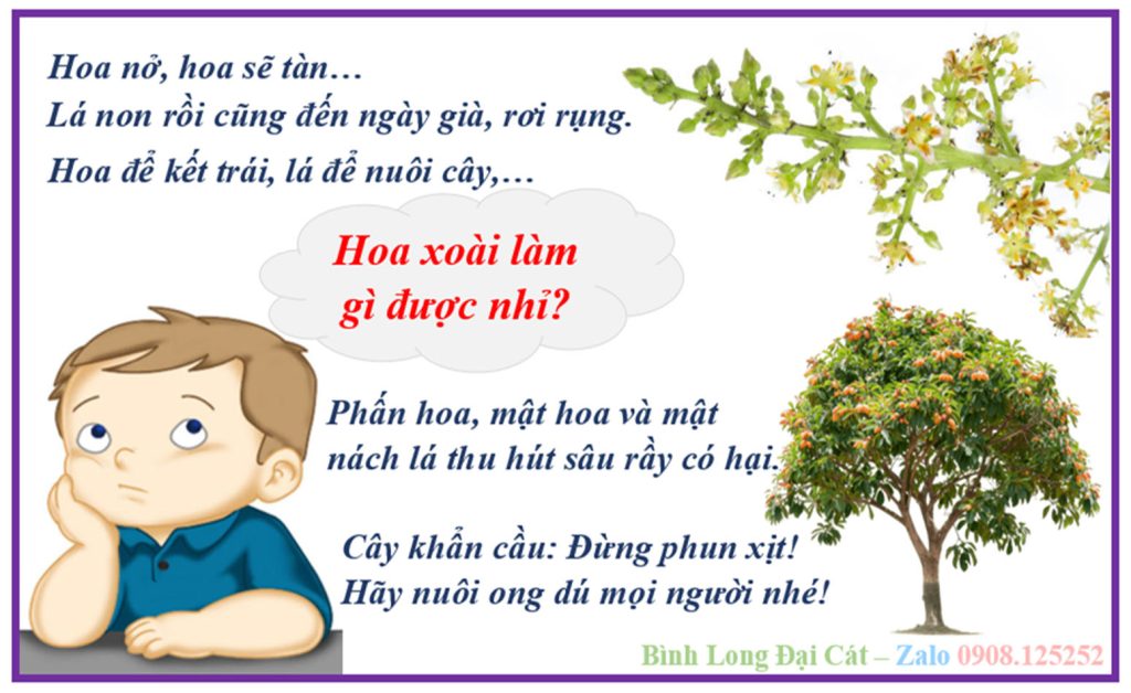 Cách nuôi ong dú