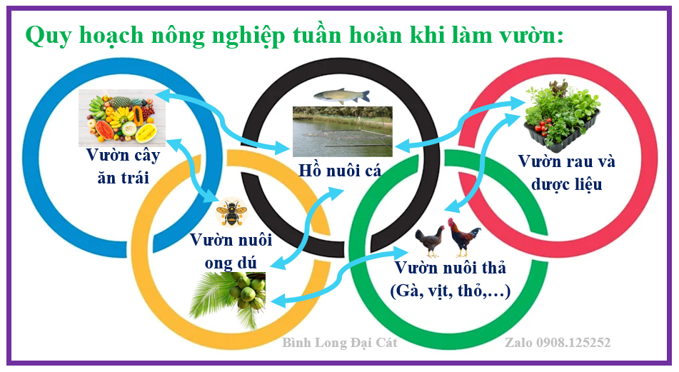 Hướng dẫn làm nông sản sạch