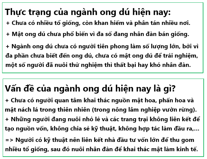 Kỹ thuật nuôi ong dú