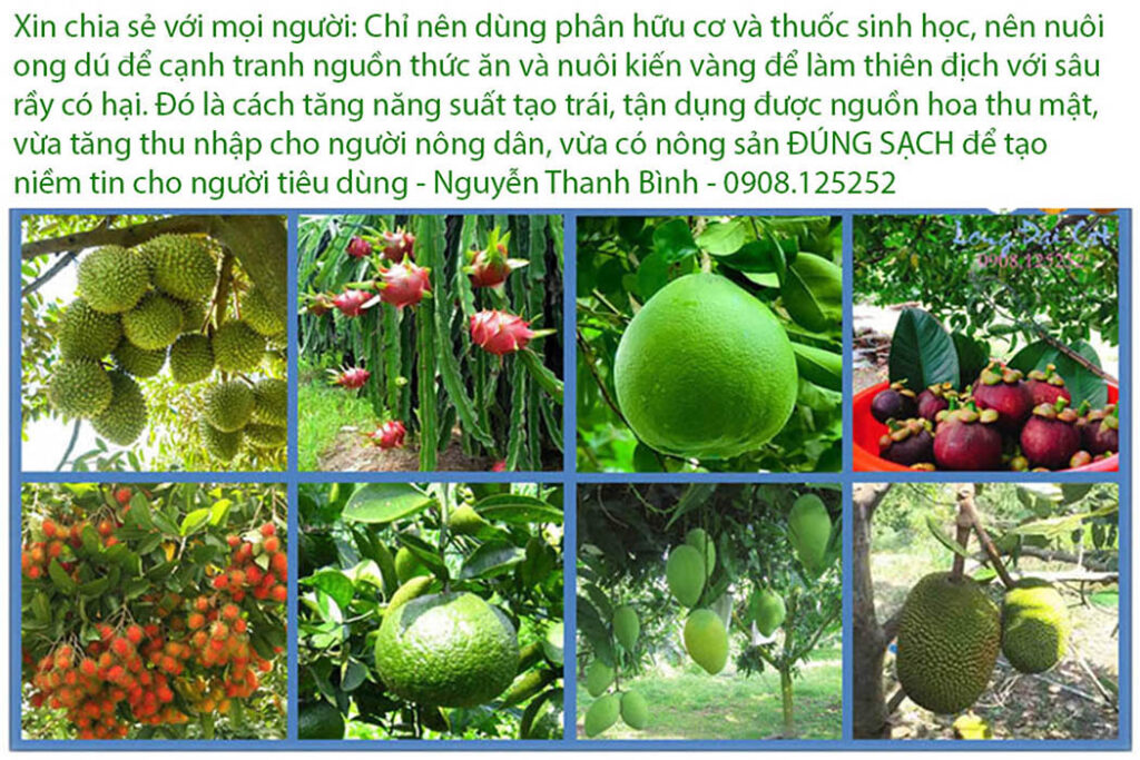 Nông sản sạch