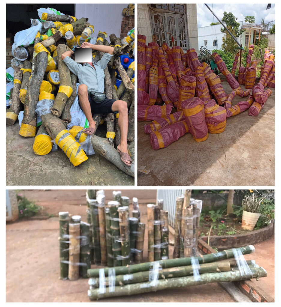 Giá tổ ong dú