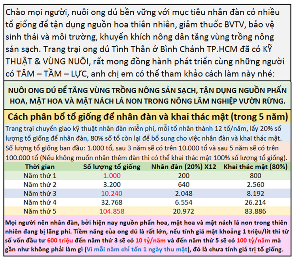 Mua ong dú giống