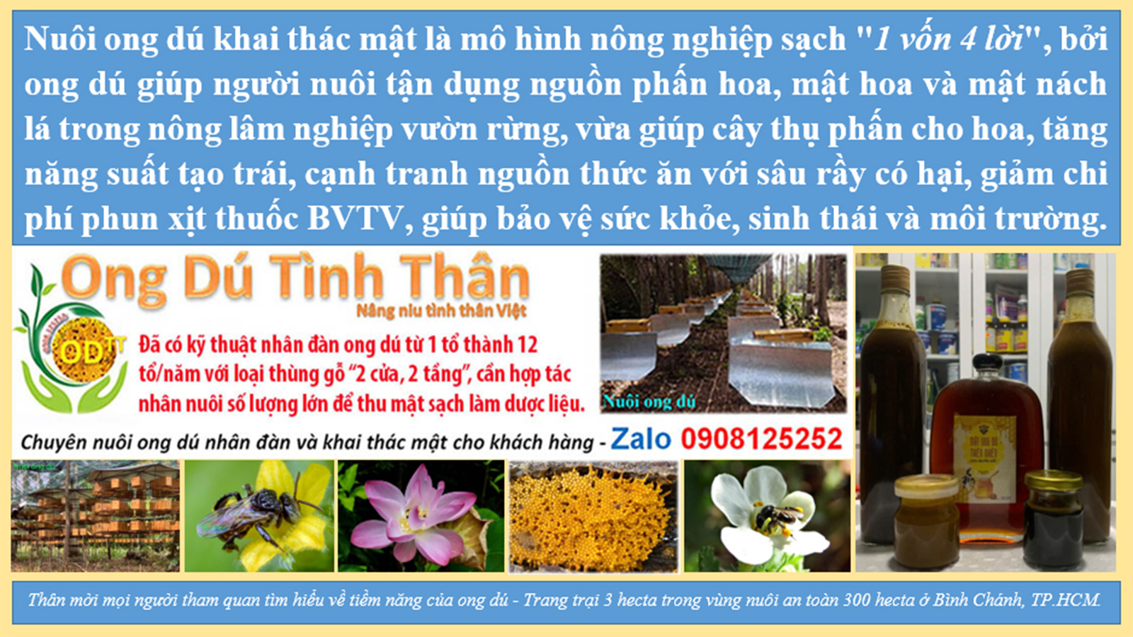 Ong dú Tình Thân