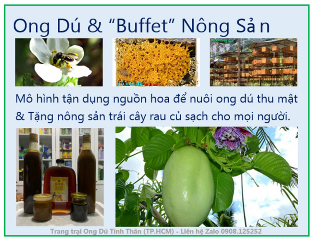 Nông nghiệp sạch
