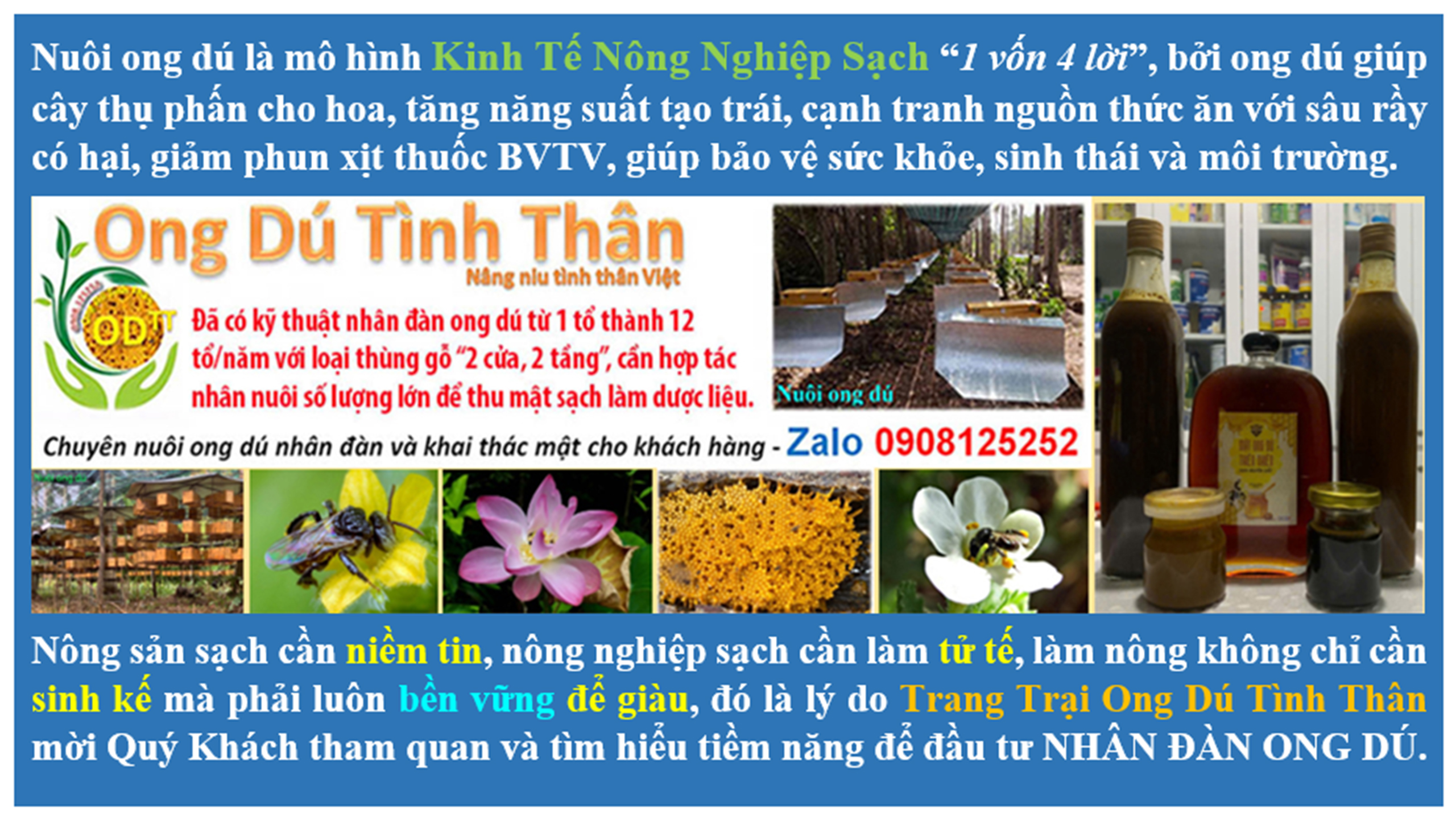 Ong dú Tình Thân